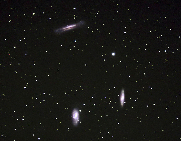 The Leo Trio